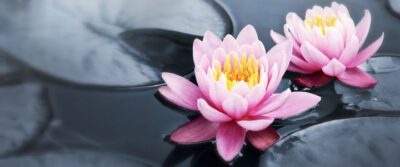 Divorce and Visitation: The Basics