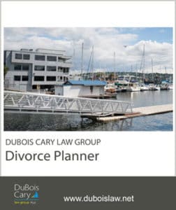 Download Divorganize Divorce Planner