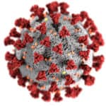 Coronavirus, Photo by CDC