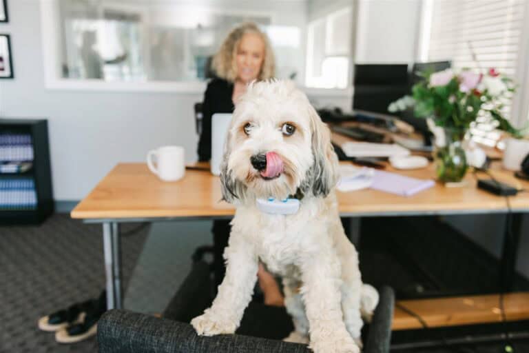 Delaney In Office Our Team