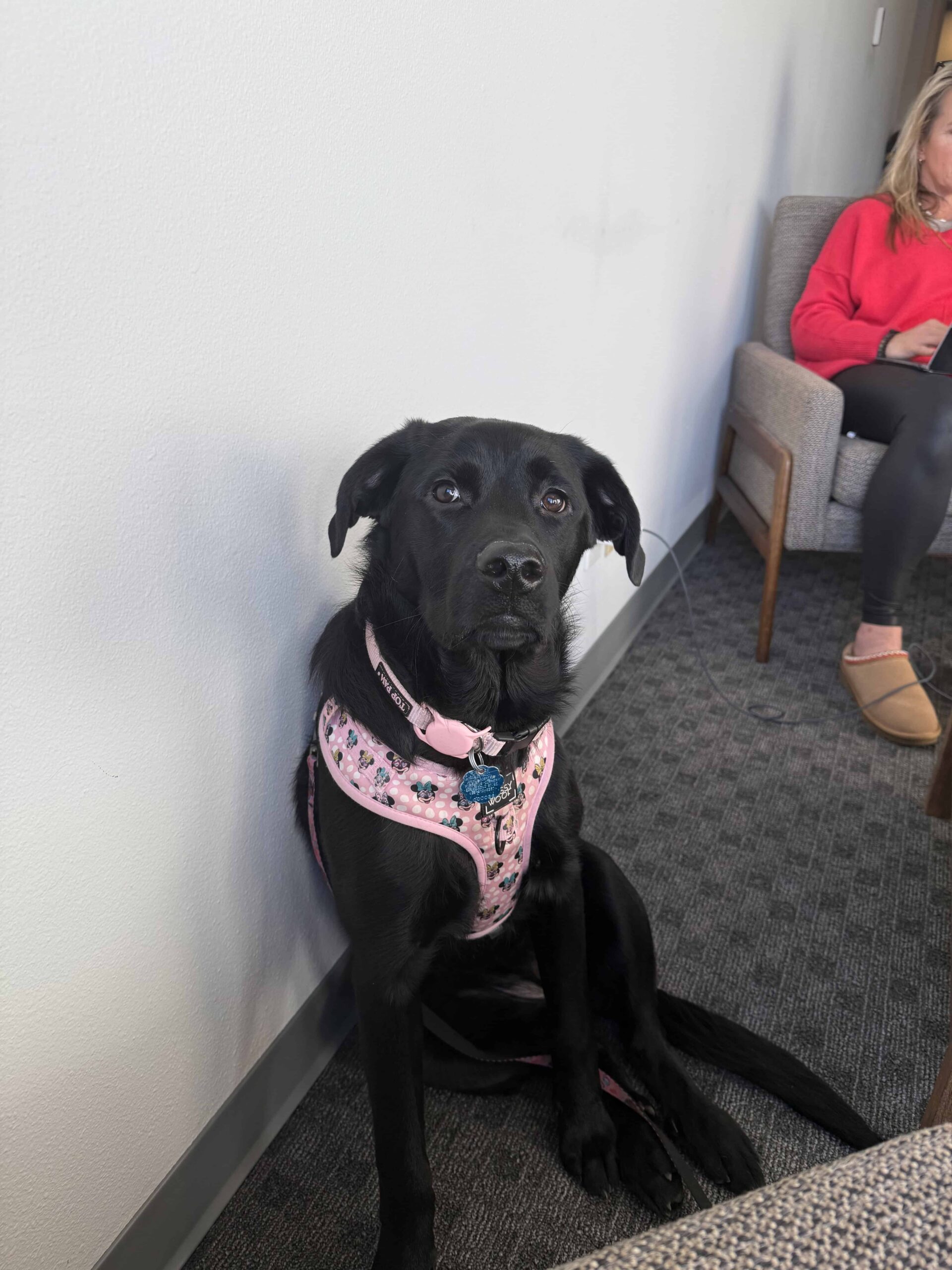IMG 3363 scaled Our Team